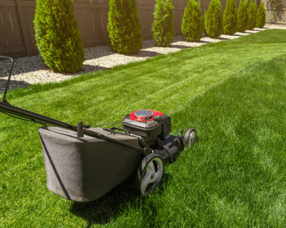 LAWN CARE